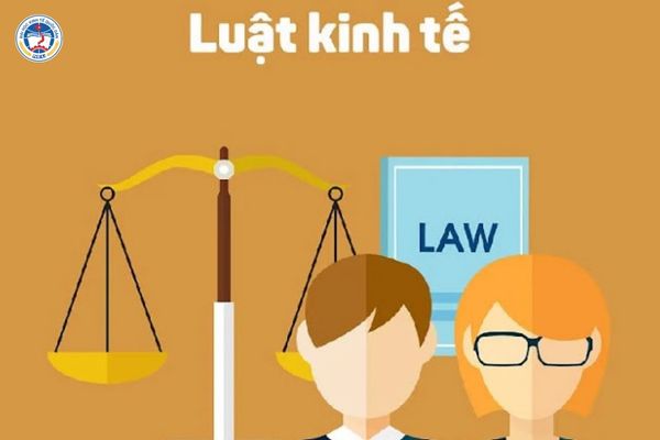 Gen Z Học Ngành Luật Ra Làm Gì? Có Tương Lai Không?