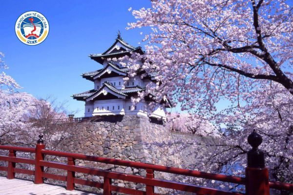 he dao tao dai hoc tu xa tai nhat ban