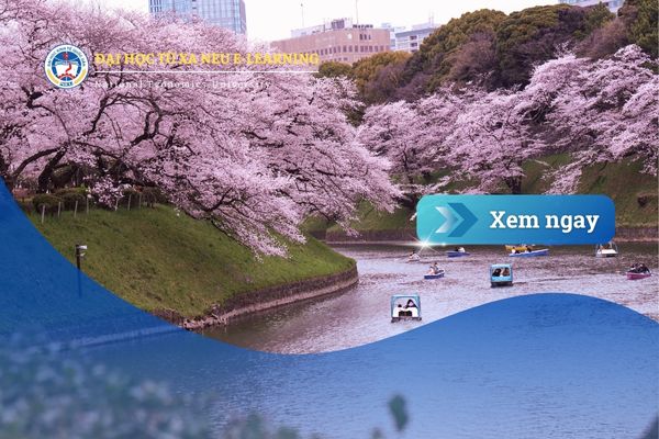chuong trinh dao tao cu nhan neu e-learning tai nhat ban
