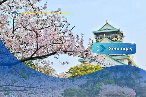 Đại học Kinh tế Quốc dân – Tuyển sinh chính thức tại Nhật Bản