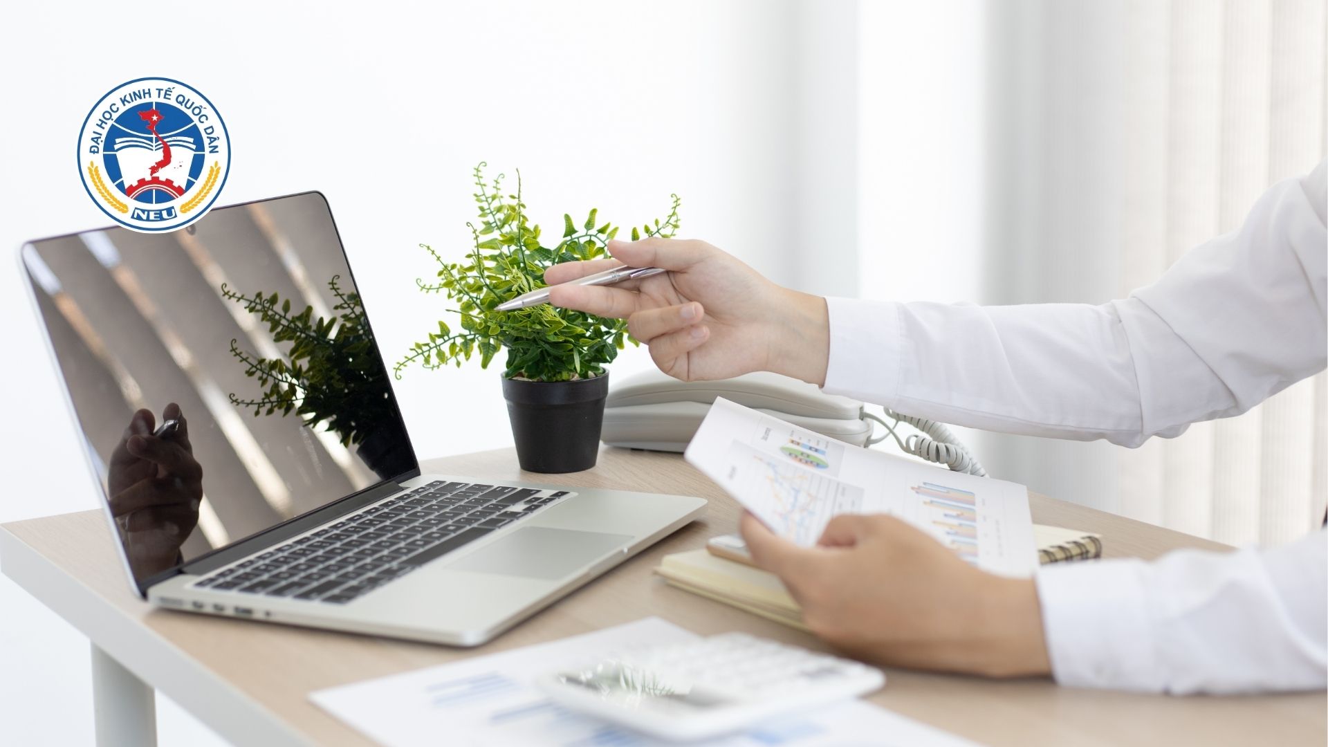 học quản trị kinh doanh online