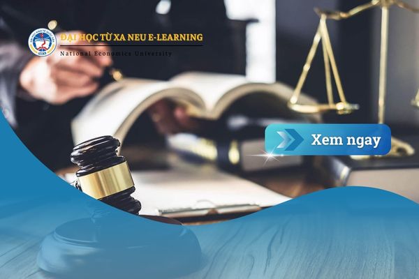 Ngành Luật kinh tế tại Nhật Bản – Lựa chọn thông minh cho tương lai