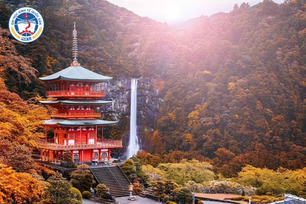 hoc nganh luat kinh te o nhat