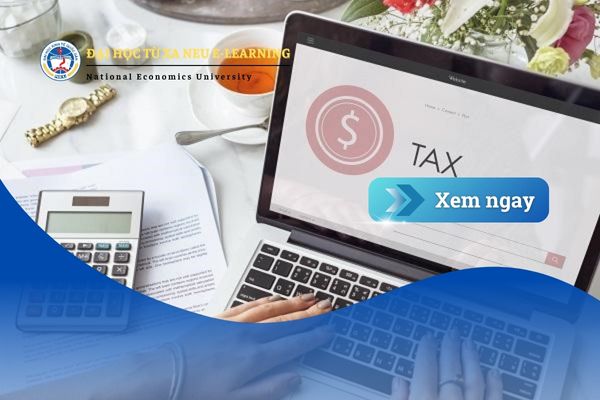 So sánh kế toán và kiểm toán: Nghề nào phù hợp với bạn và dễ xin việc hơn?