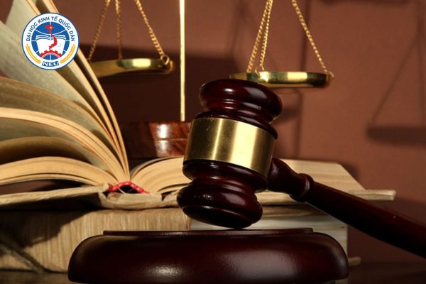 nganh luat kinh te he tu xa