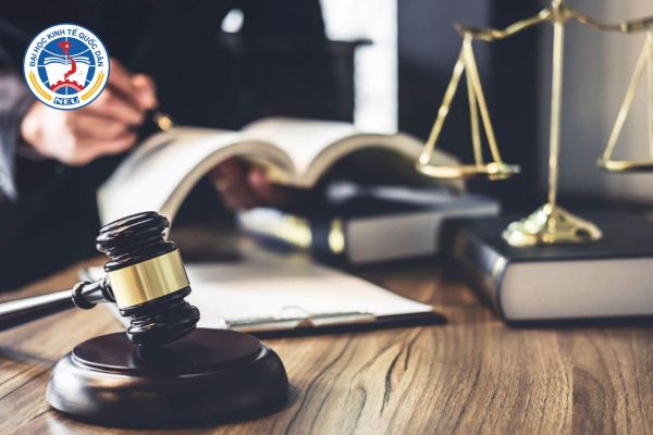 tim hieu chuong trinh luat kinh te