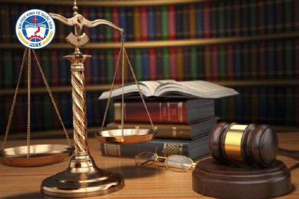 nganh luat kinh te he tu xa