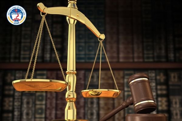 dao tao tu xa nganh luat kinh te