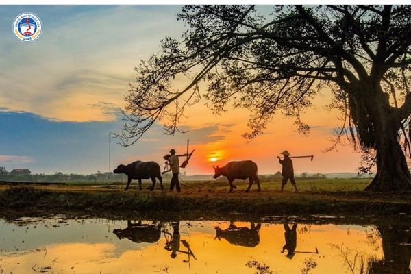 Đi Nhật về nên làm nghề gì? Cẩm nang chuyển đổi sự nghiệp cùng Đại học từ xa NEU