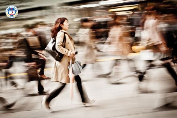 Đi nhật 3 năm về làm gì