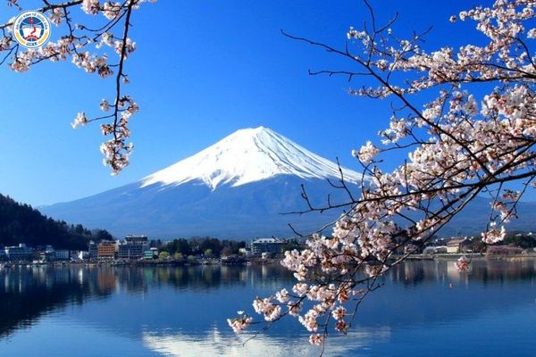 Du học sinh Nhật Bản mấy năm? Lộ trình bứt phá cho người lao động 2026