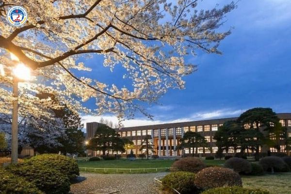 Du học sinh Nhật Bản mấy năm? Lộ trình bứt phá cho người lao động 2026