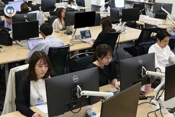 Đi nhật 3 năm về làm gì