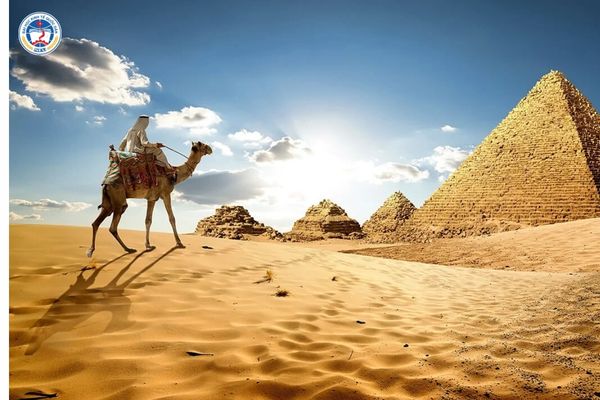 Du học sinh Nhật Bản mấy năm? Lộ trình bứt phá cho người lao động 2026