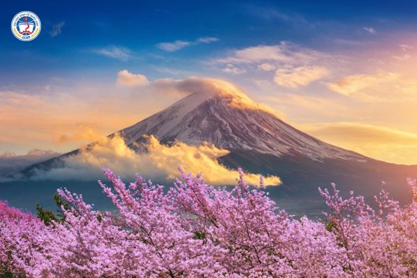 Tuyển Sinh Đại Học Từ Xa Cho Người Việt Tại Nhật Bản