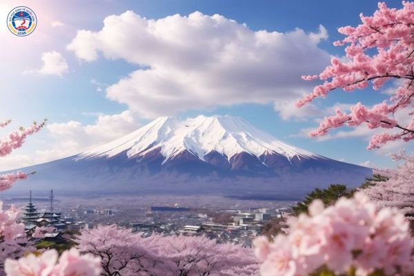 Học từ xa Nhật là gì? Xu hướng giáo dục 4.0 tại xứ sở Anh Đào